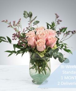 BI WEEKLY SUBSCRIPTION - STANDARD- 1 MONTH