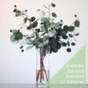Botanico Foliage subscription standard 12 deliveries biweekly