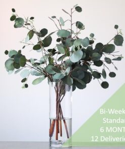 Botanico Foliage subscription standard 12 deliveries biweekly