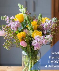 WEEKLY SUBSCRIPTION - PREMIUM- 1 MONTH
