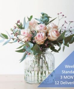 WEEKLY SUBSCRIPTION - STANDARD- 3 MONTH