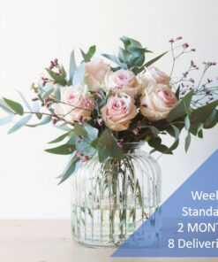 WEEKLY SUBSCRIPTION - STANDARD- 2 MONTH